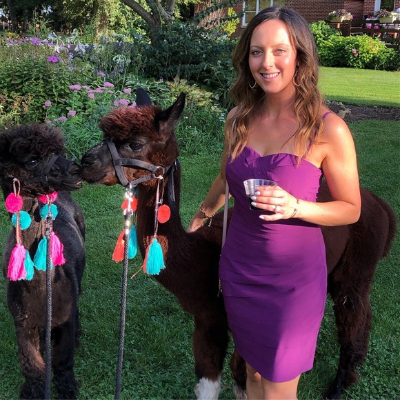 Meet your Posher ⭐️ Posh Ambassador⭐️ - Picture 5 of 12